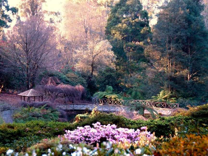 Dandenong Ranges Botanic Garden, Tourist attractions in Olinda
