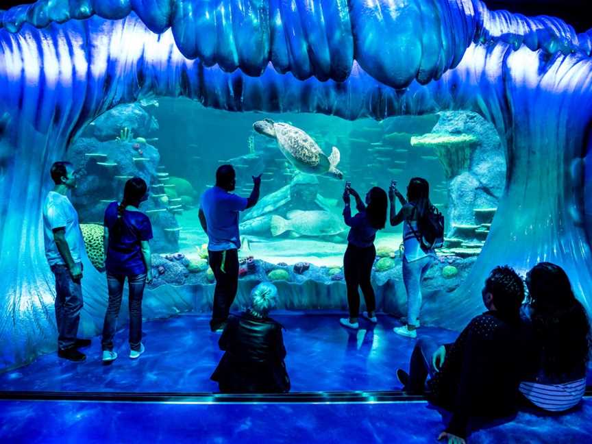 SEA LIFE Sydney Aquarium, Tourist attractions in Sydney