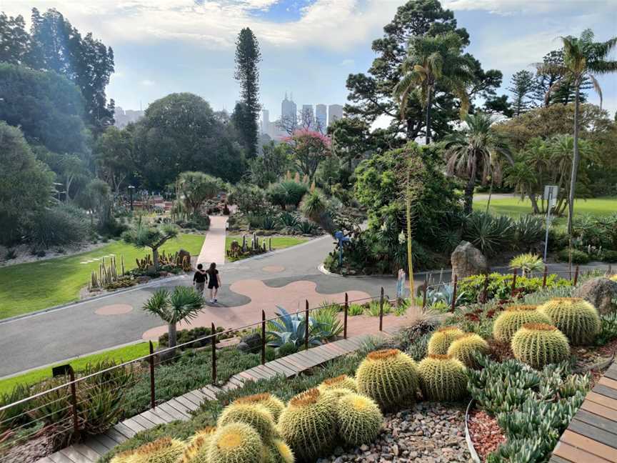 Royal Botanic Gardens Victoria - Melbourne Gardens, Melbourne, VIC