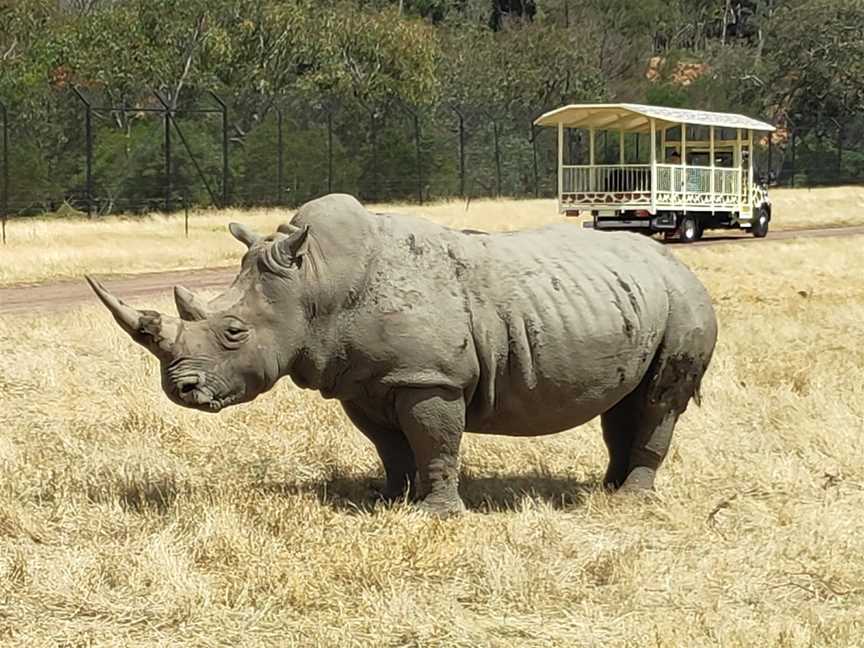 Werribee Open Range Zoo, Werribee South, VIC