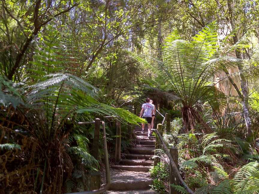 Dandenong Ranges National Park, Tremont, VIC