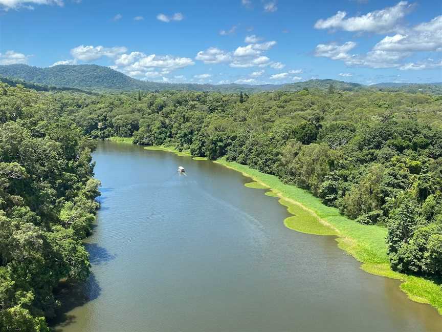 Skyrail Rainforest Cableway, Smithfield, QLD