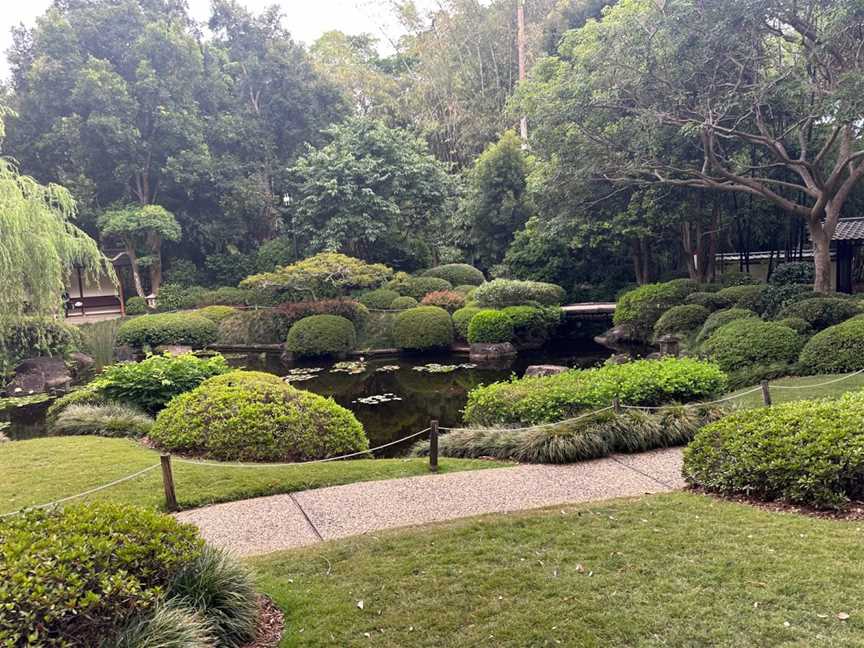 Brisbane Botanic Gardens, Toowong, QLD