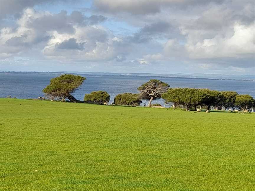 Churchill Island, Churchill Island, VIC