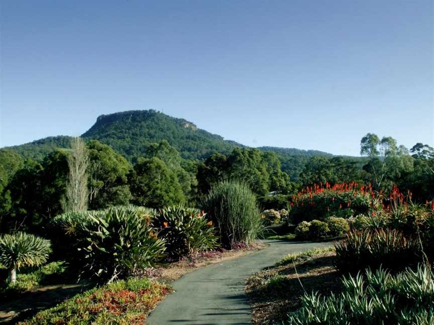 Wollongong Botanic Garden, Keiraville, NSW