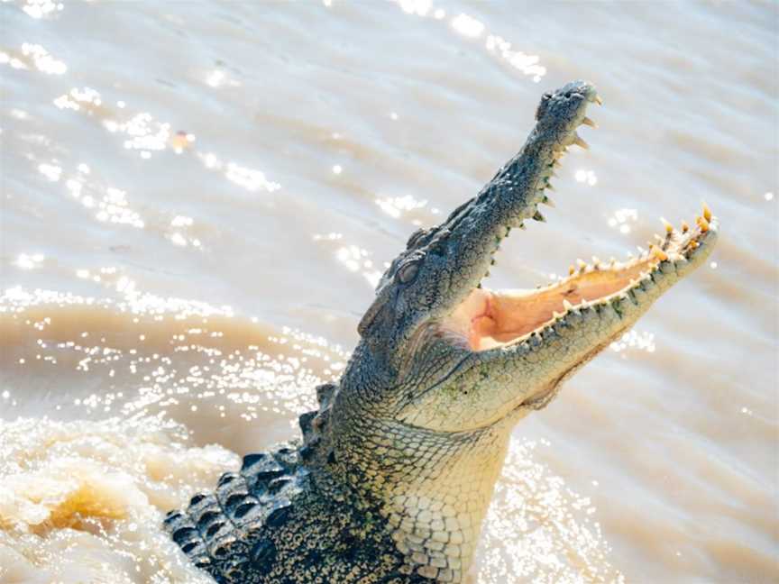 Spectacular Jumping Crocodile Cruise, Tourist attractions in Wak Wak