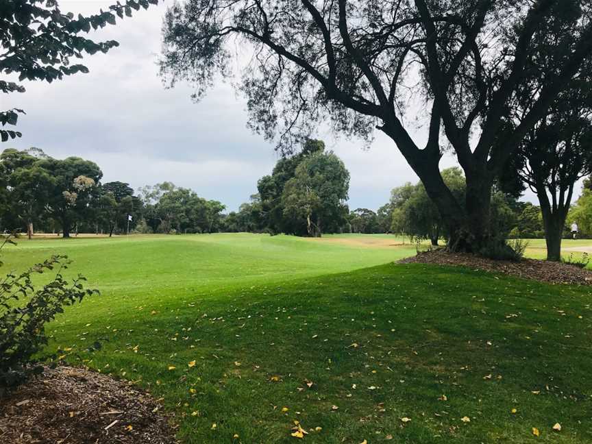 Yarra Bend Public Golf Course Melbourne, Fairfield, VIC