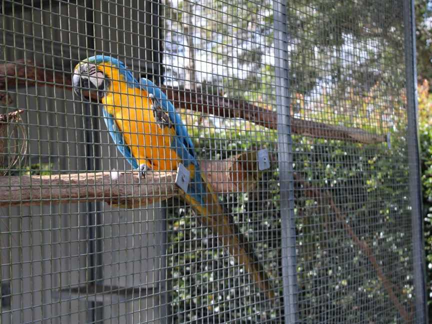 Amazement' Farm & Fun Park, Wyong Creek, NSW