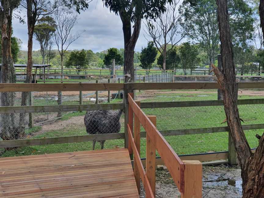 Amazement' Farm & Fun Park, Wyong Creek, NSW