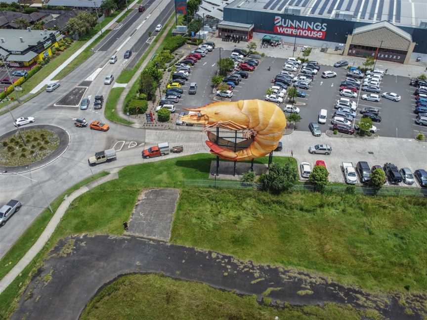 The Big Prawn, West Ballina, NSW