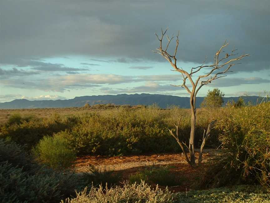 Australian Arid Lands Botanic Garden, Port Augusta, SA