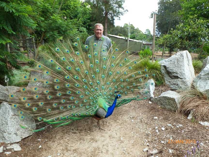 Birdland Animal Park, Batemans Bay, NSW