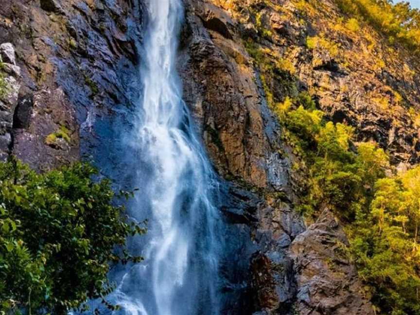 Ellenborough Falls, Elands, NSW