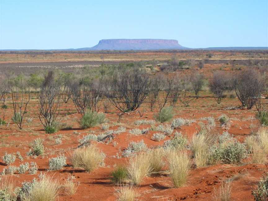 Curtin Springs, Alice Springs, NT