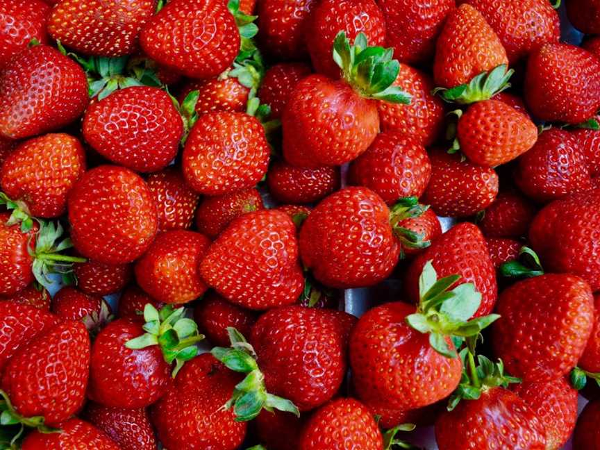 The Super Strawberry, Glen Innes, NSW