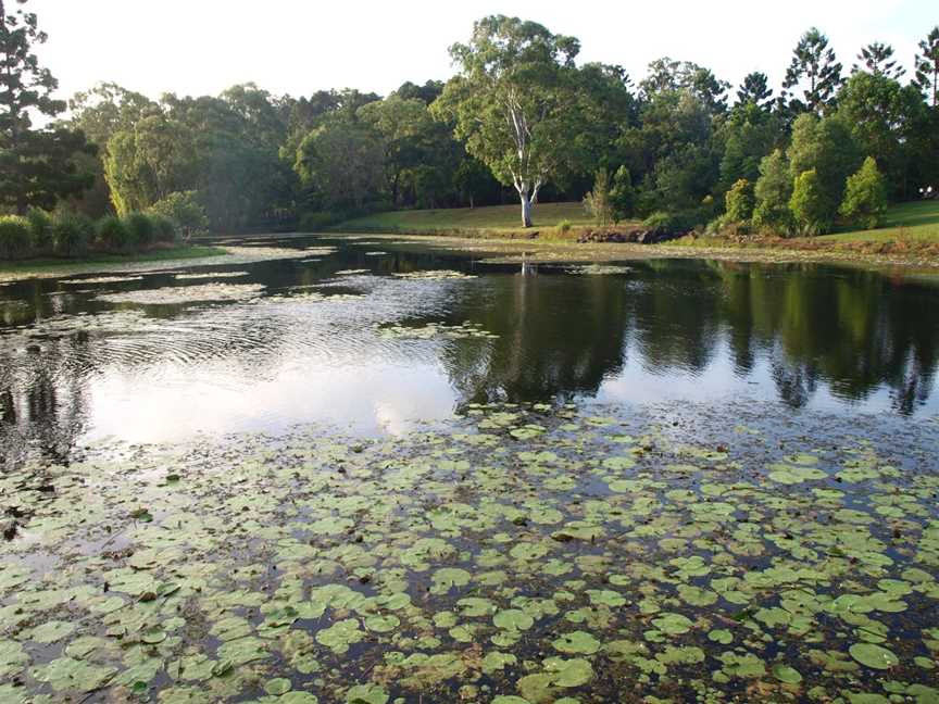 Gold Coast Regional Botanic Gardens, Benowa, QLD