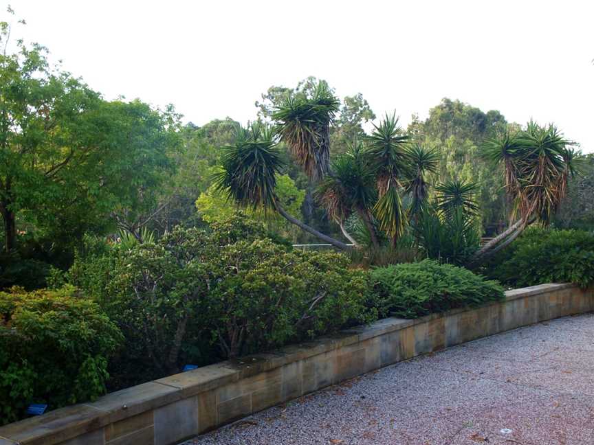 Gold Coast Regional Botanic Gardens, Benowa, QLD