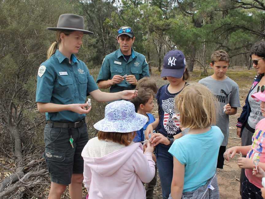 Serendip Sanctuary, Lara, VIC