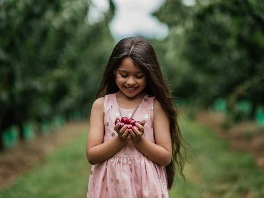 Cherryhill Orchards, Wandin East, VIC