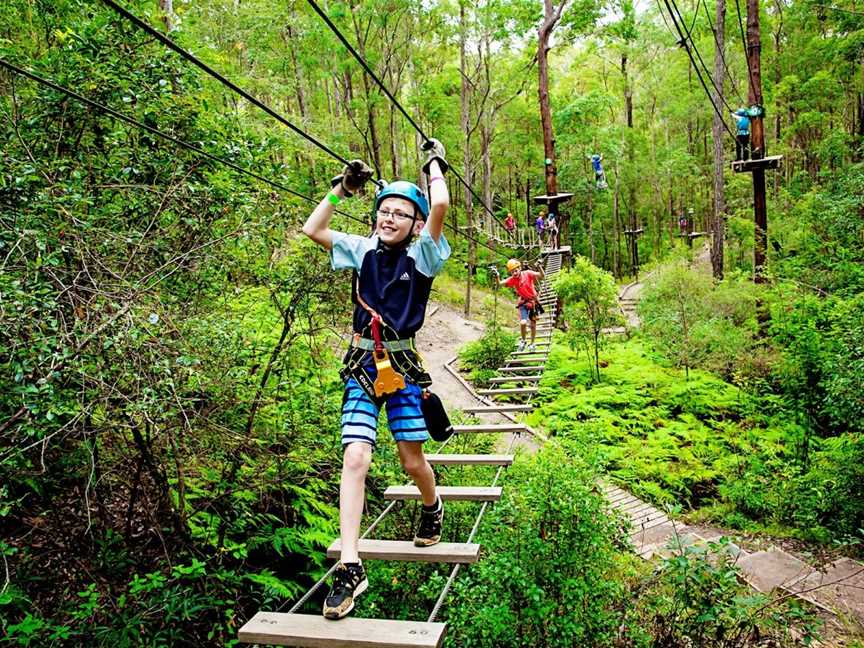 Canyon Flyer Zipline Tour, Australia's largest Zipline Tour, North Tamborine, QLD