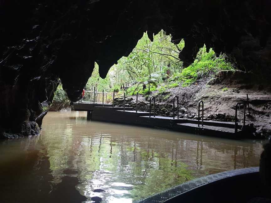 Waitomo Glowworm Caves, Te Awamutu, New Zealand