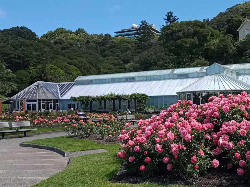The Begonia House at the Lady Norwood Rose Garden, Wellington, New Zealand