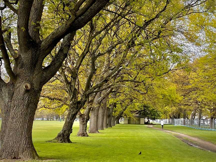 Hagley Park North, Christchurch, New Zealand