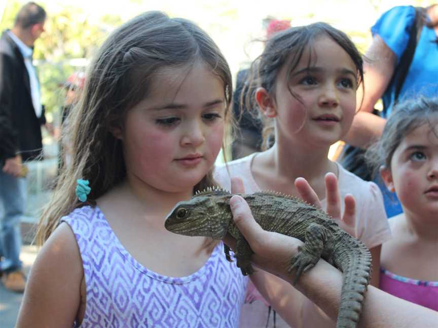 Wellington Zoo, Newtown, New Zealand