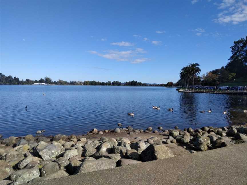 Hamilton Lake Domain, Hamilton Lake, New Zealand