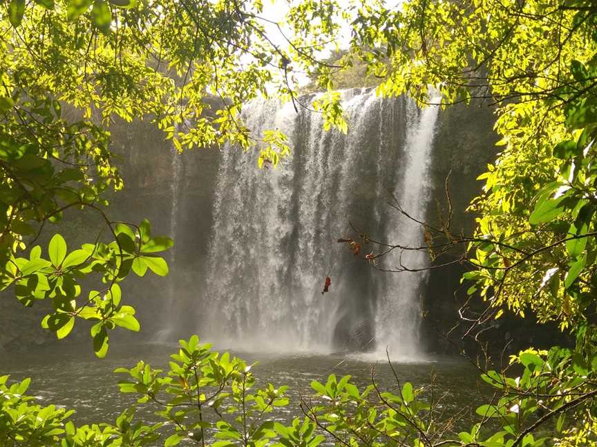 Rainbow Falls (Waianiwaniwa), Kerikeri, New Zealand