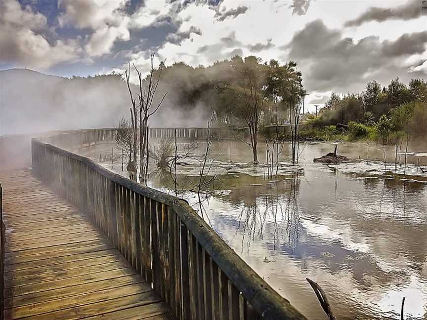 Kuirau Park - Mud Pools, Rotorua, New Zealand