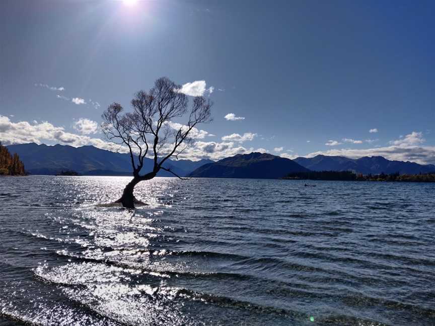 Wanaka Lakefront, Wanaka, New Zealand