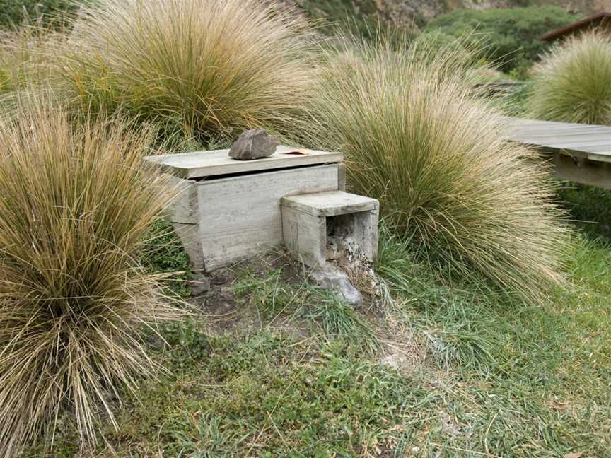 Oamaru Blue Penguin Colony, South Hill, New Zealand
