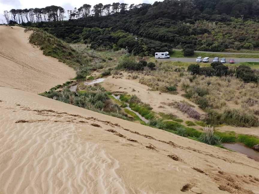 Giant Sand Dunes, Kaitaia, New Zealand