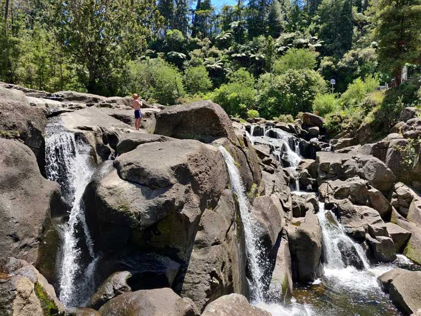 McLaren Falls, Lower Kaimai, New Zealand