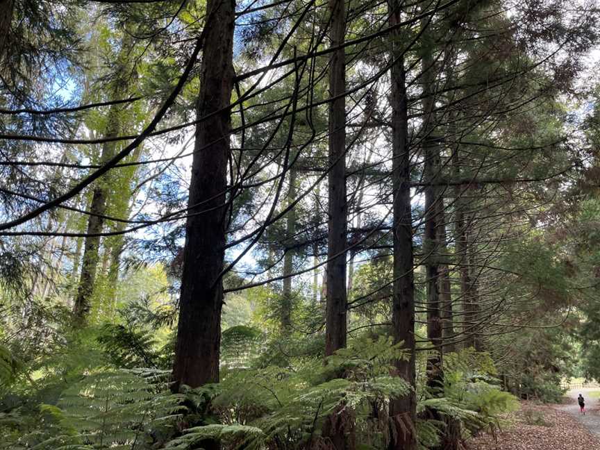 Taitua Arboretum, Temple View, New Zealand