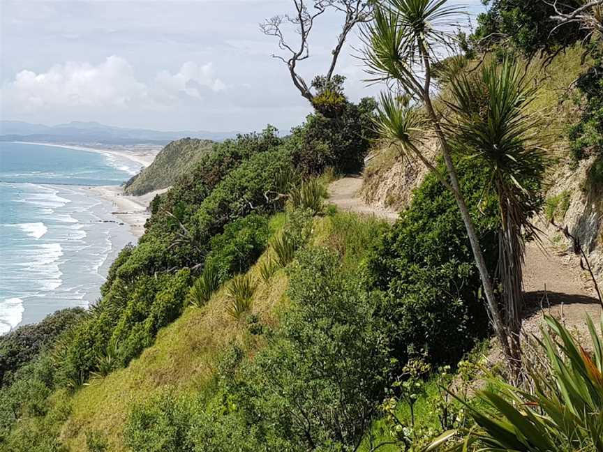 Mangawhai Cliff Walk, Mangawhai Heads, New Zealand