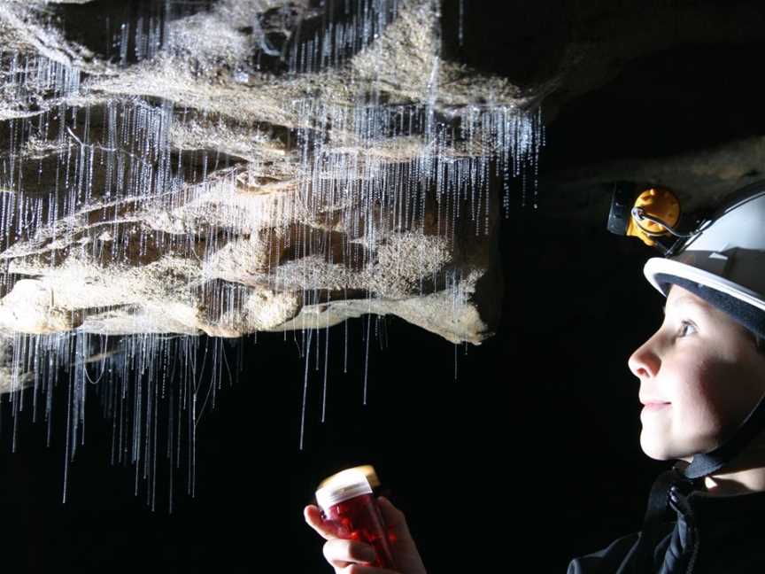 Spellbound Glowworm and Cave Tour, Ohakea, New Zealand