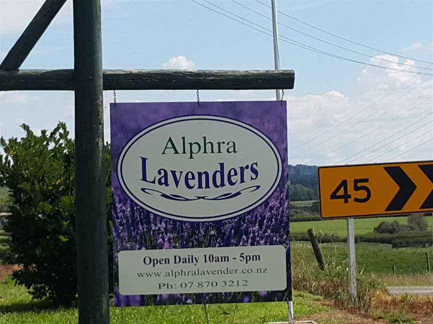 Alphra Lavender, Te Awamutu, New Zealand