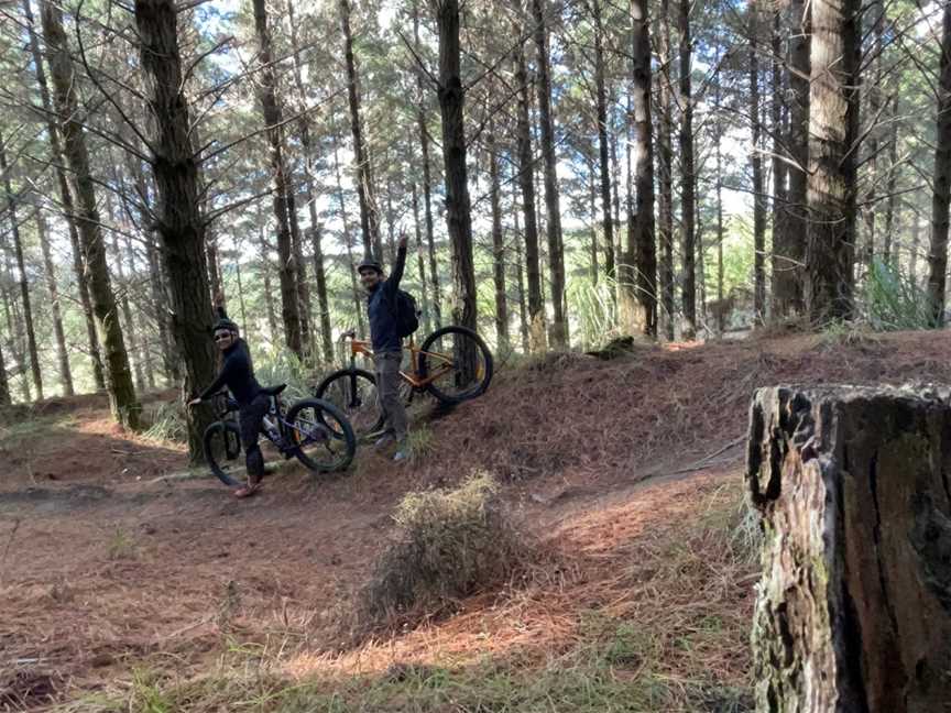 Woodhill Mountain Bike Park, Woodhill, New Zealand