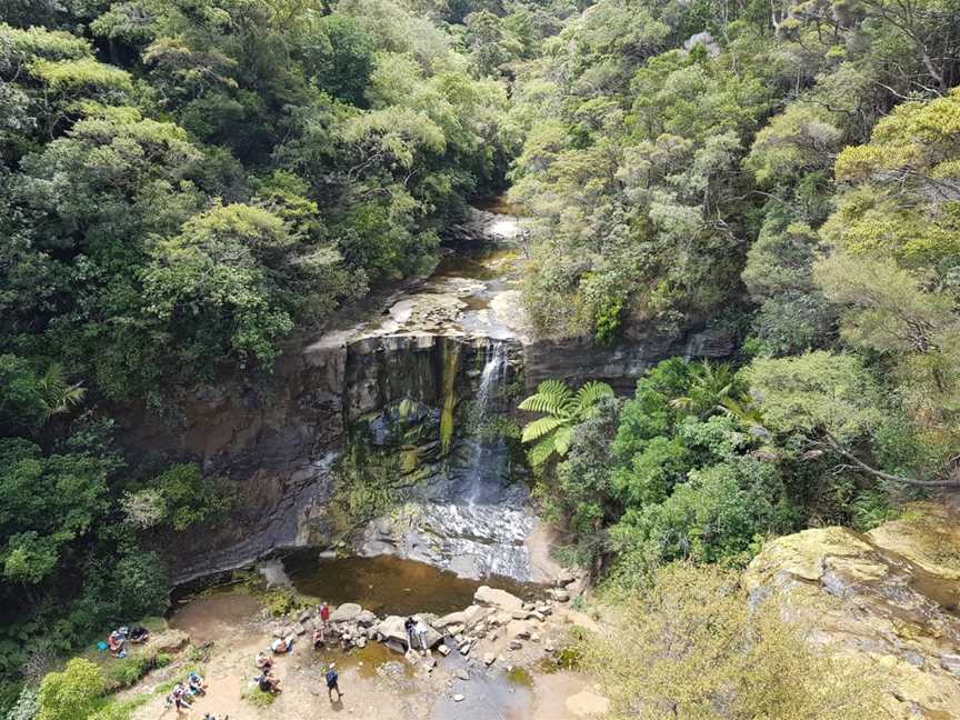 Mokoroa Falls, Waitakere, New Zealand