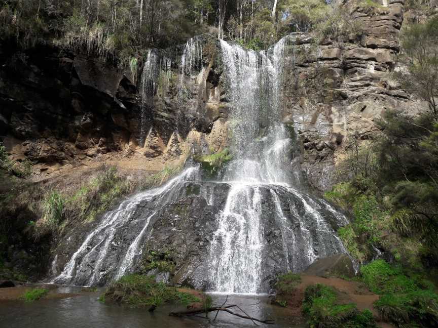 Mokoroa Falls, Waitakere, New Zealand
