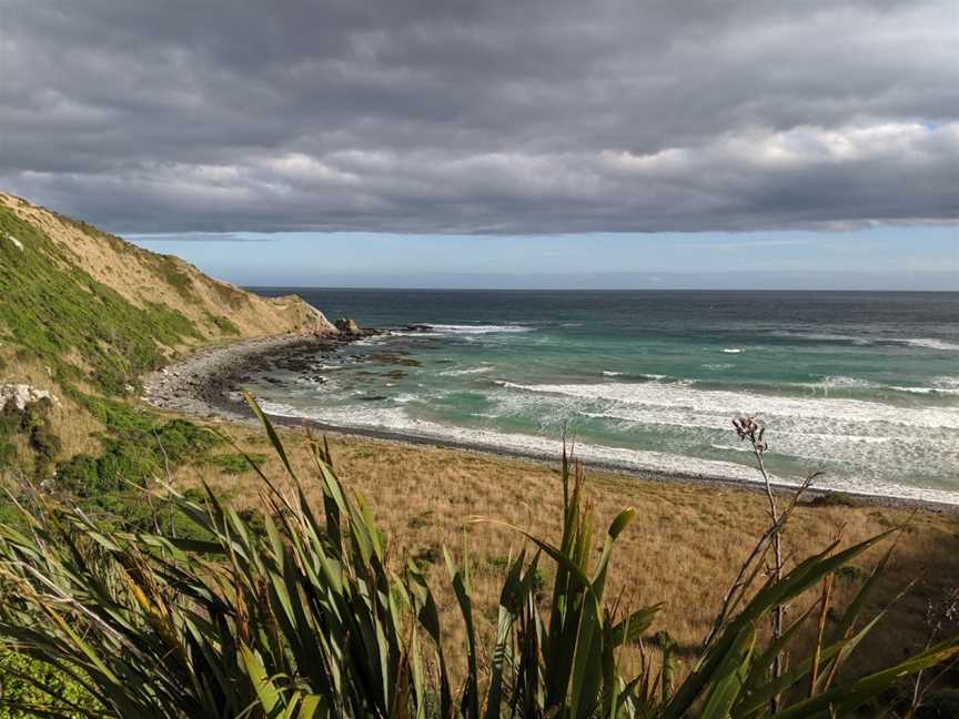 Roaring Bay Penguins & Seals Observatory, Balclutha, New Zealand