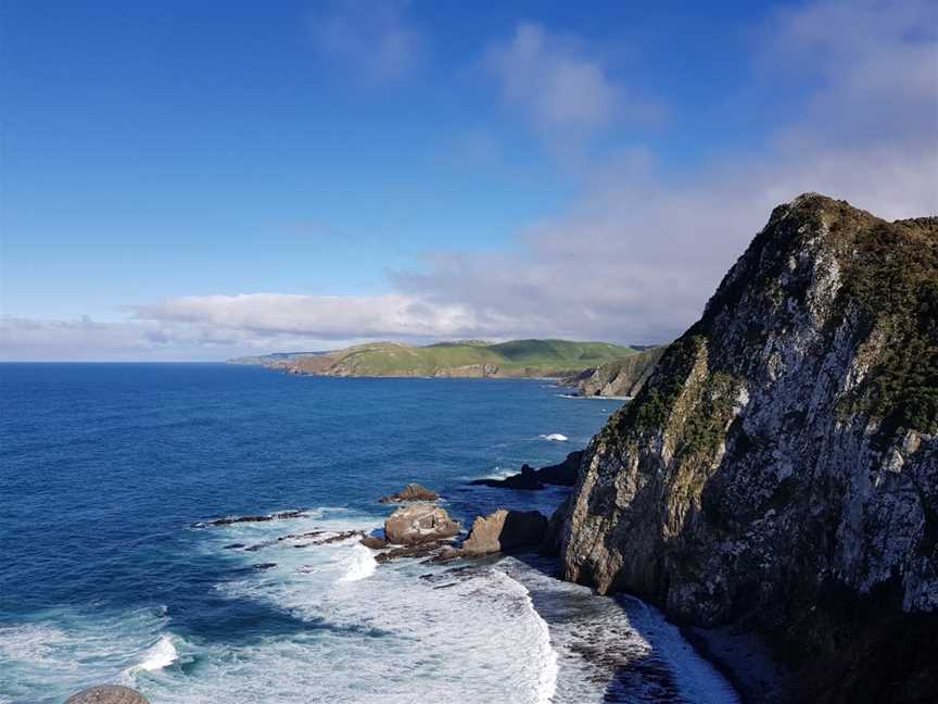 Roaring Bay Penguins & Seals Observatory, Balclutha, New Zealand