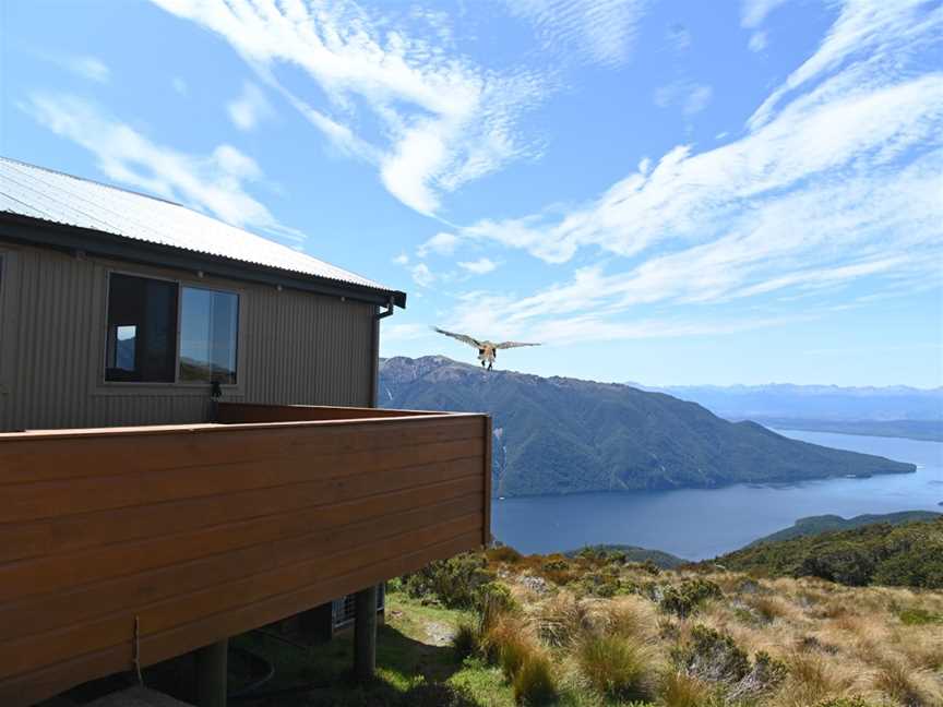 Luxmore Hut, Fiordland, New Zealand