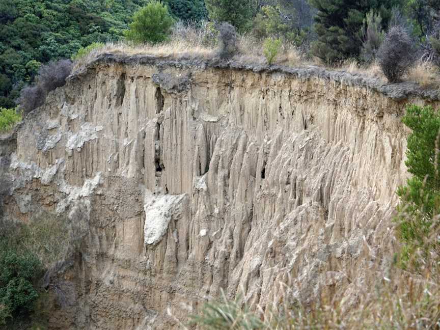 Cathedral Gully, Domett, New Zealand