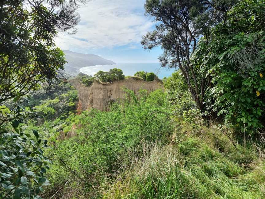 Cathedral Gully, Domett, New Zealand