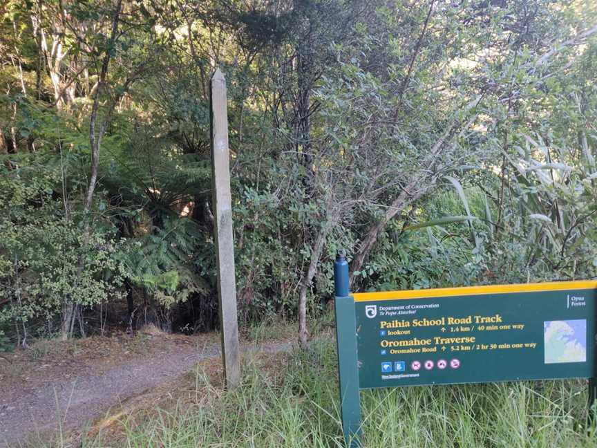 Opua Forest Paihia Lookout Track, Paihia, New Zealand