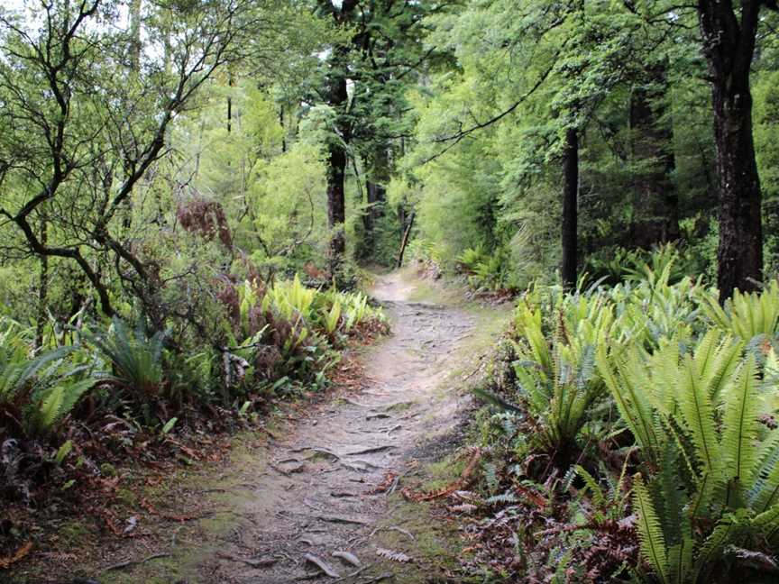 Glentui Loop Track, Amberley Region, New Zealand