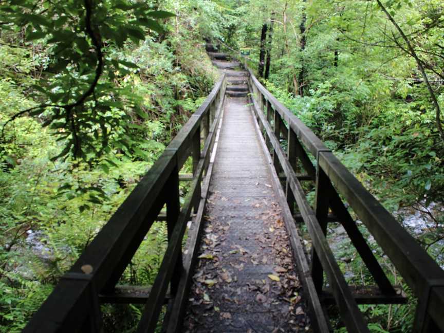 Glentui Loop Track, Amberley Region, New Zealand